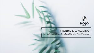 Training and Consulting